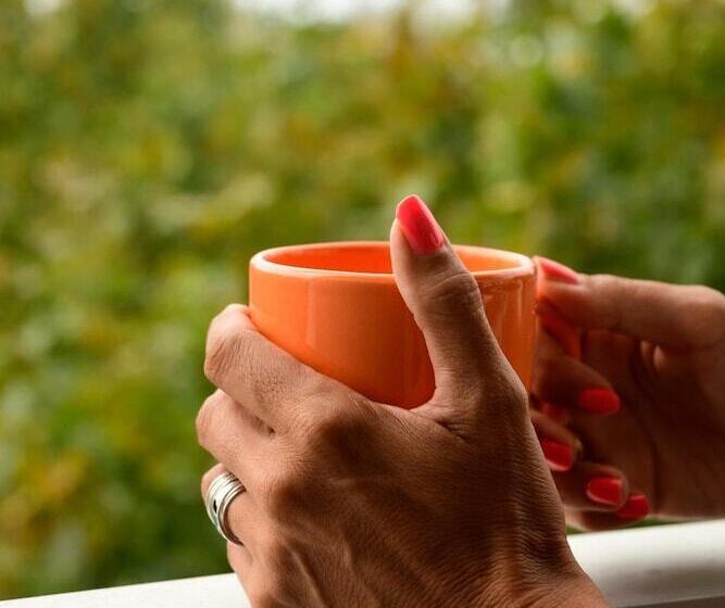 Quijano Hotel   Aparts & Suites