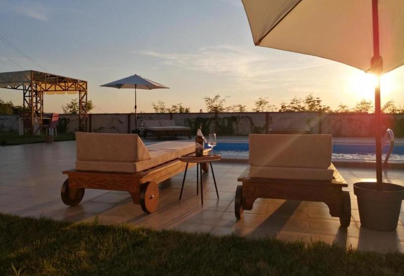 تختخواب و صبحانه Serendipity