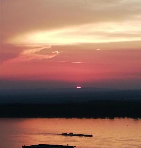 تختخواب و صبحانه Serendipity