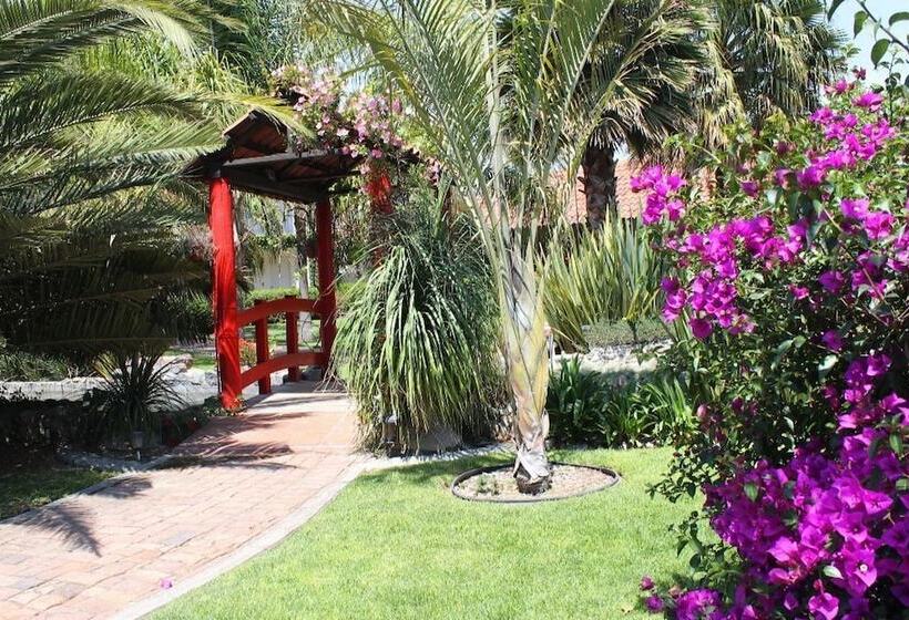 酒店 Palmas Teotihuacán