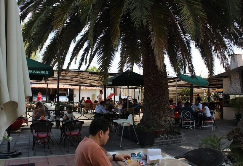 酒店 Palmas Teotihuacán