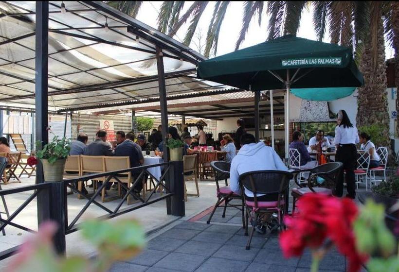 酒店 Palmas Teotihuacán