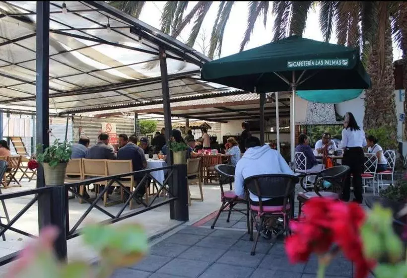 Hotelli Palmas Teotihuacán