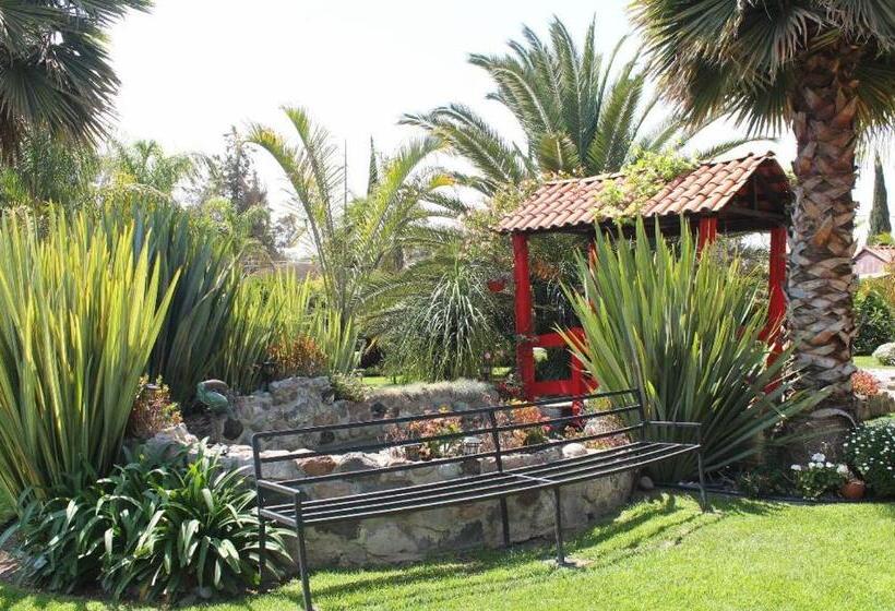 酒店 Palmas Teotihuacán