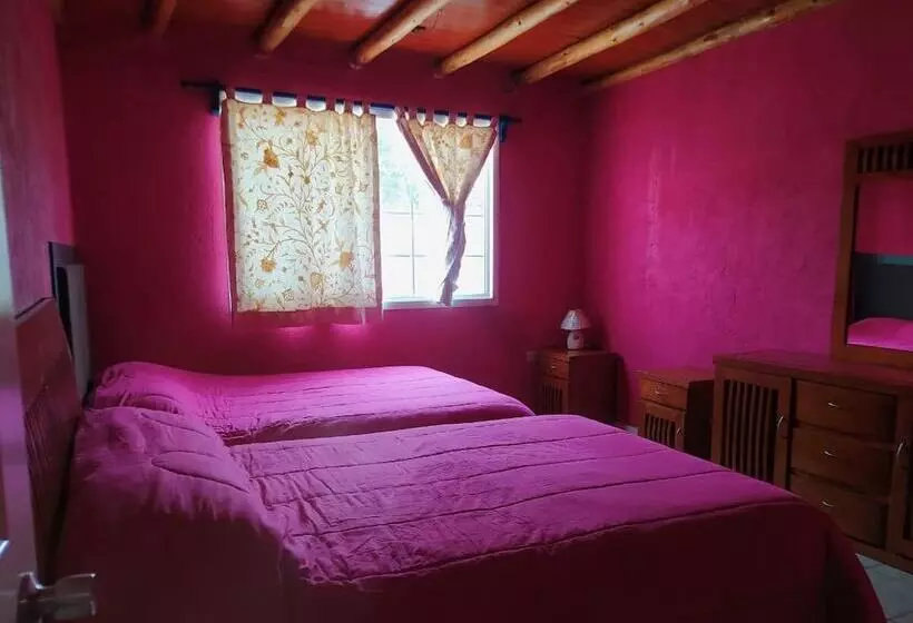 Hotelli Palmas Teotihuacán