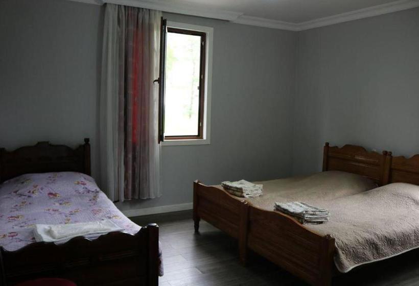 پانسیون в гостях у руслана