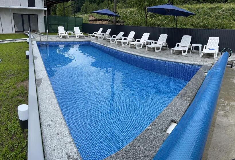 بنسيون фенікс