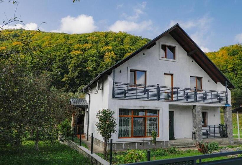 بنسيون фенікс