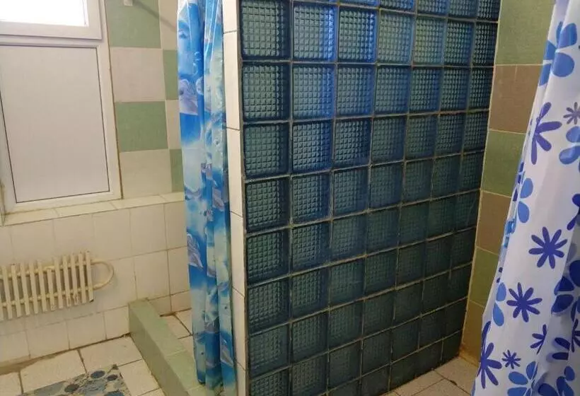 هاستل элем т