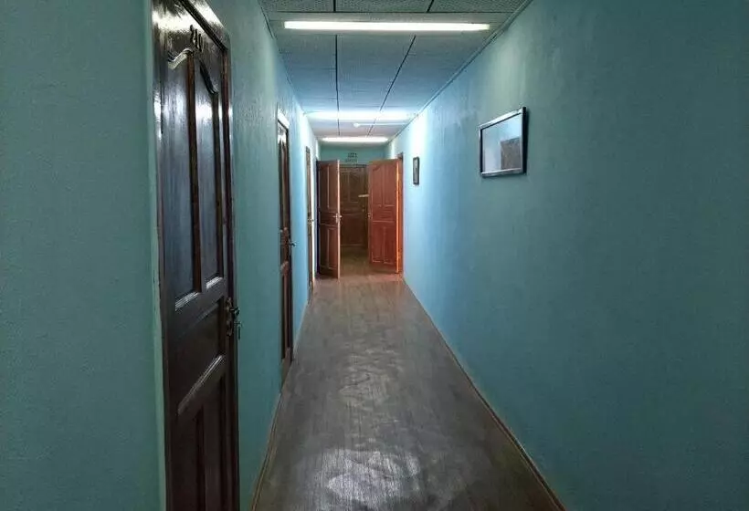 هاستل элем т