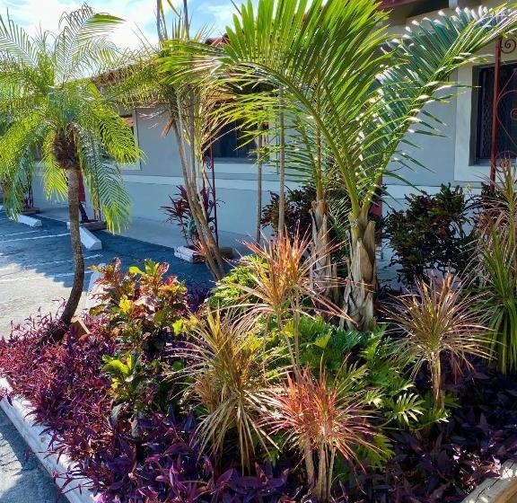 فندق صغير Budget Inn South