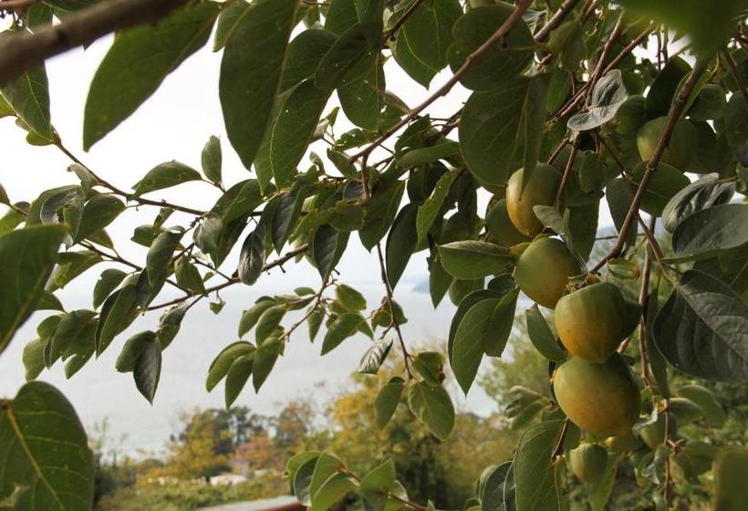 هاستل Guest House Vzgorye