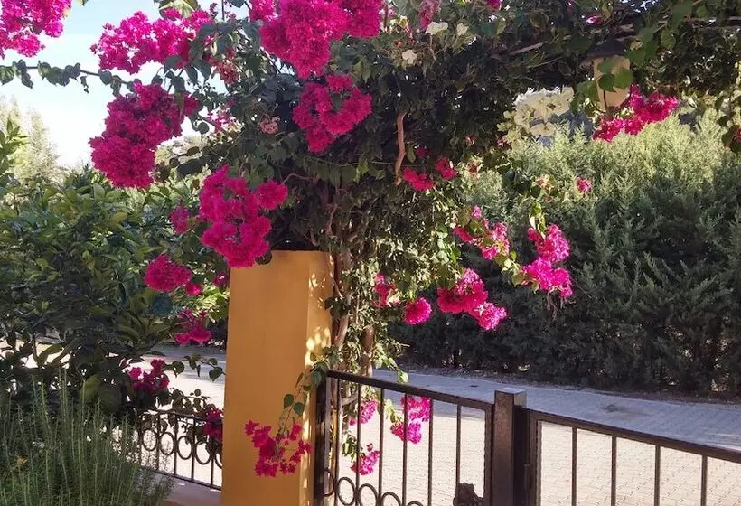 Aamiaismajoitus (B&B) Sirman Suite Boutique