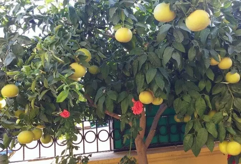 Aamiaismajoitus (B&B) Sirman Suite Boutique