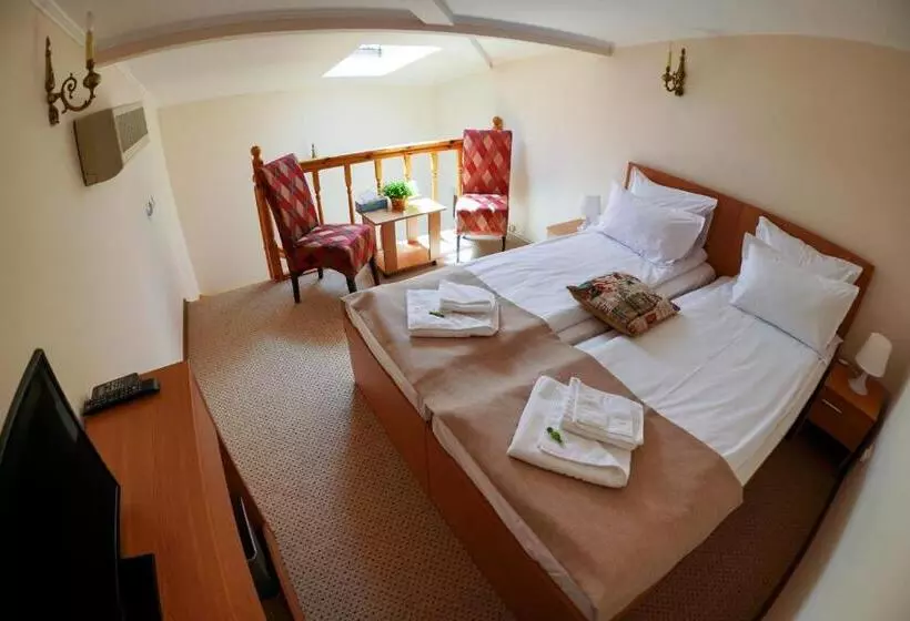 هتل Bucharest Downtown Inn