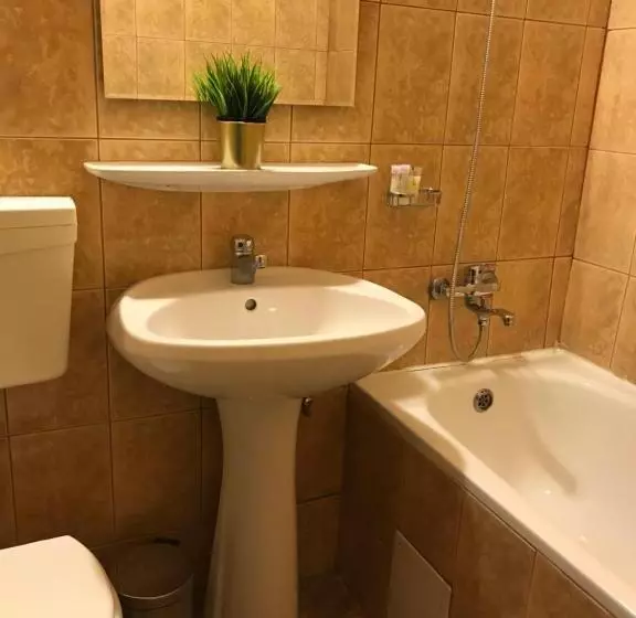 هتل Bucharest Downtown Inn