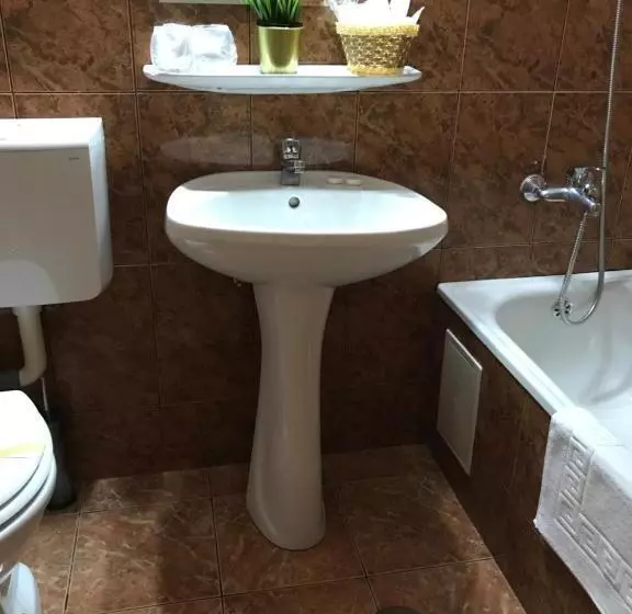 هتل Bucharest Downtown Inn
