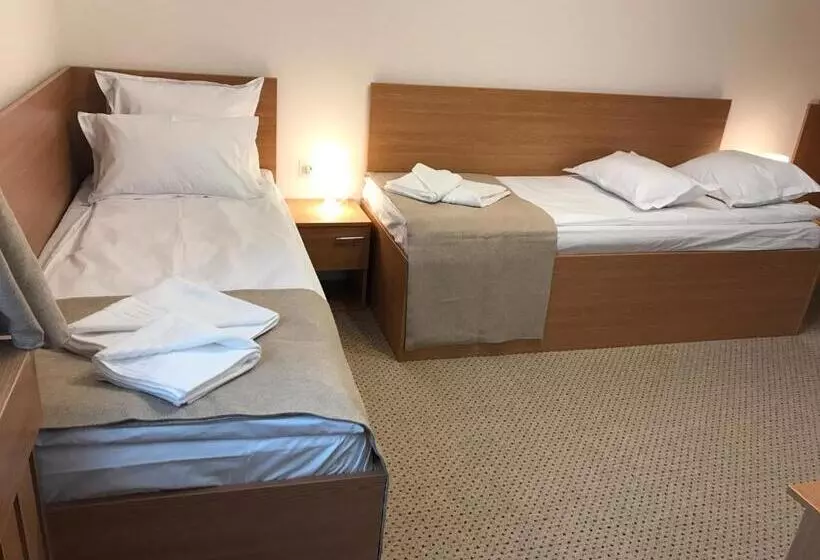 هتل Bucharest Downtown Inn