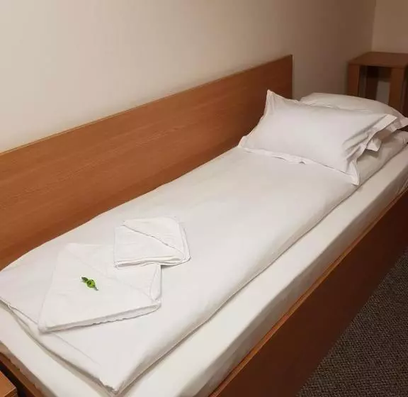 هتل Bucharest Downtown Inn