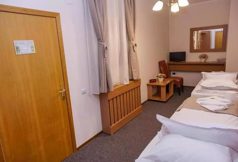 هتل Bucharest Downtown Inn