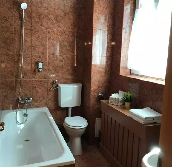 هتل Bucharest Downtown Inn