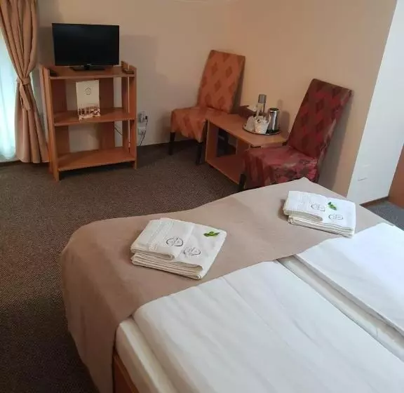 هتل Bucharest Downtown Inn