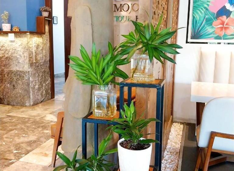 هتل Mojo Boutique