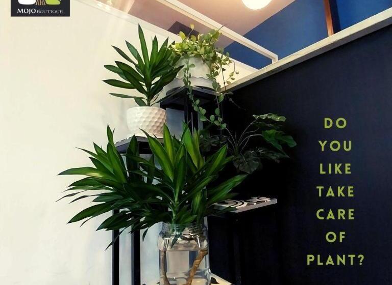 هتل Mojo Boutique