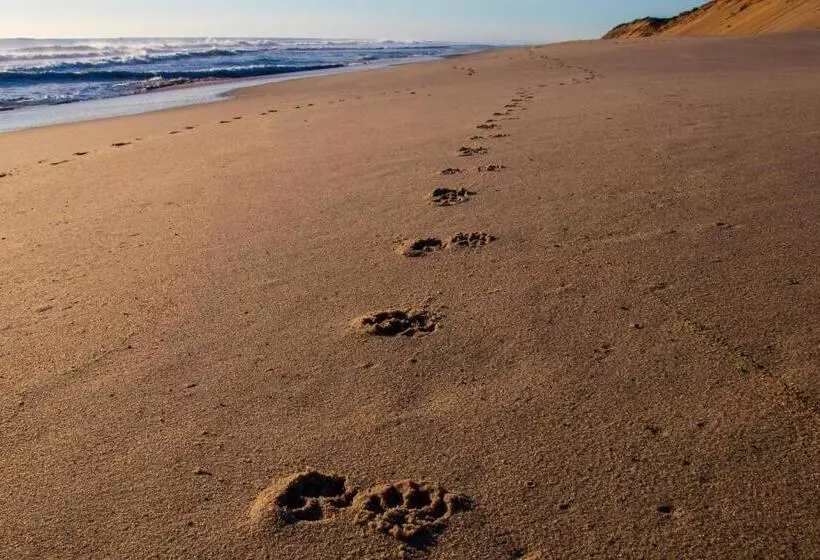 Motelli Endless Coast, A Boutique