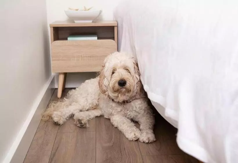 Motelli Endless Coast, A Boutique