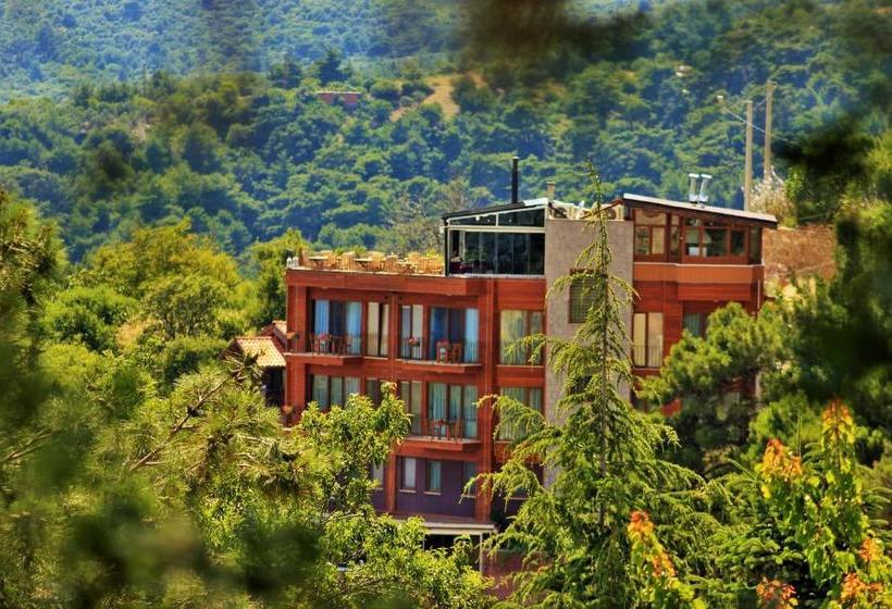 펜션 Assos Kayalar Terrace