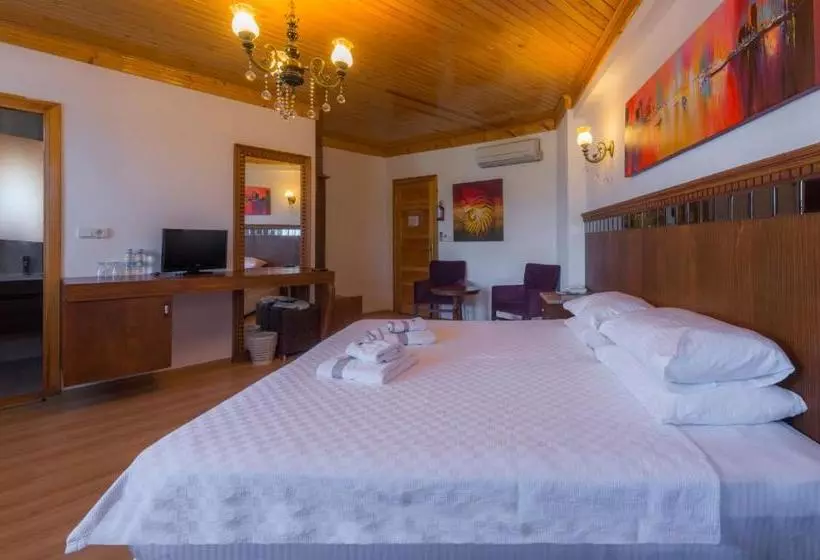 ペンション Assos Kayalar Terrace