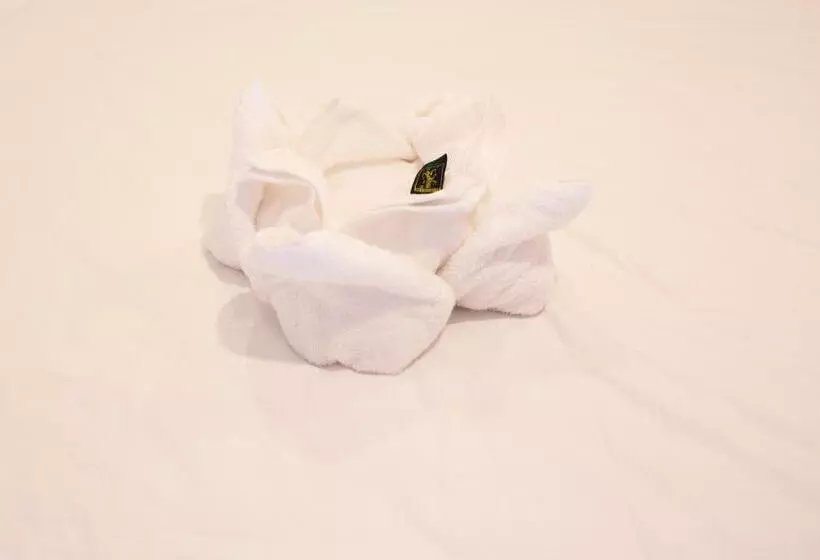 پانسیون Twin Home Guesthouse