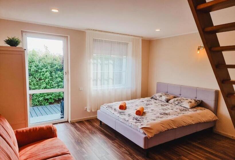 پانسیون Viesu Nams Kāpsargi