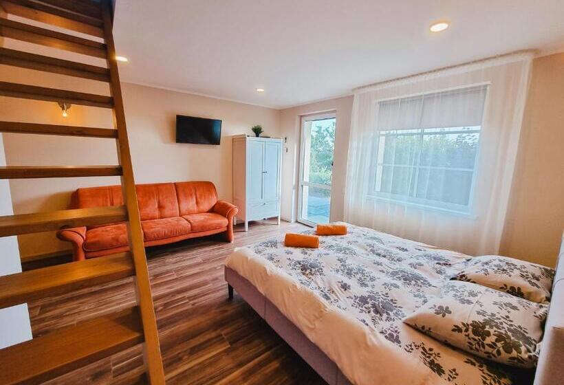 پانسیون Viesu Nams Kāpsargi