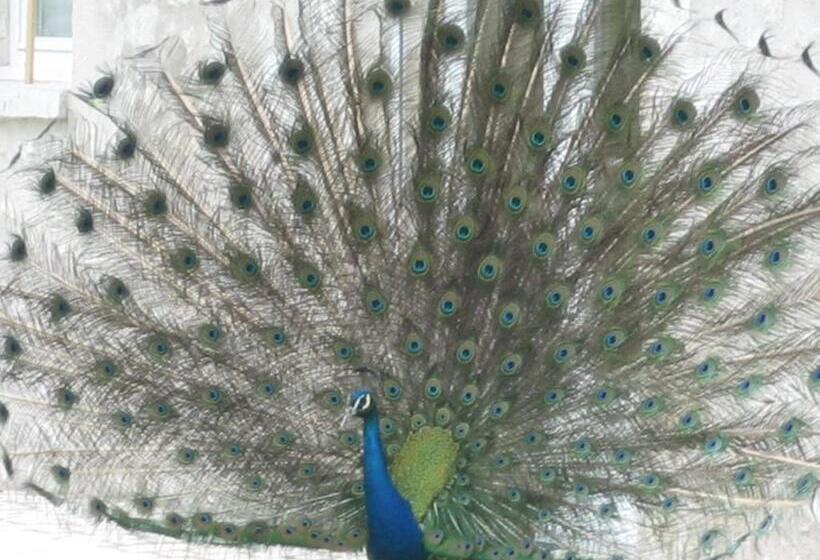 فندق La Ferme Des 3 Maillets