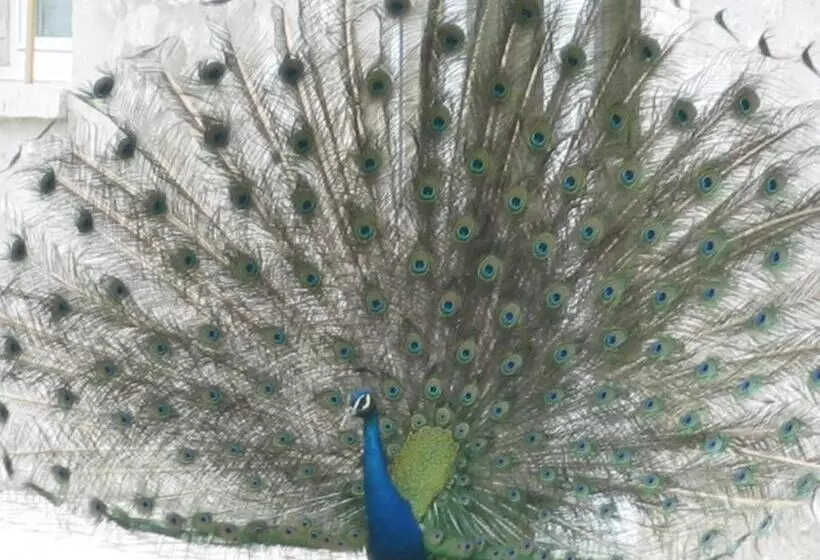 Hotelli La Ferme Des 3 Maillets