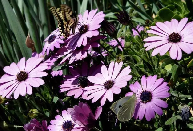 Complejo Rural Turimaestrat