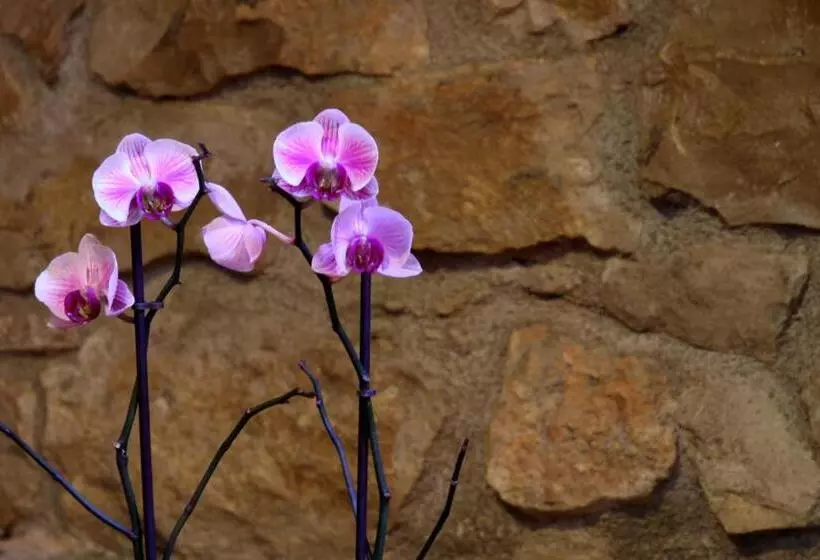 Complejo Rural Turimaestrat