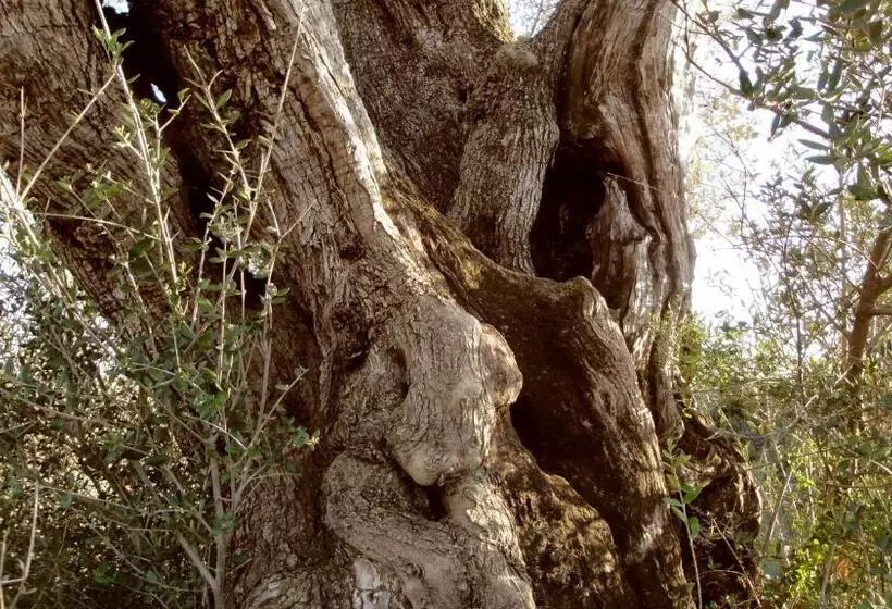 Complejo Rural Turimaestrat