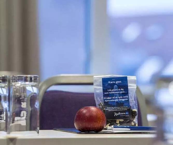 Radisson Blu Scandinavia Hotel Aarhus