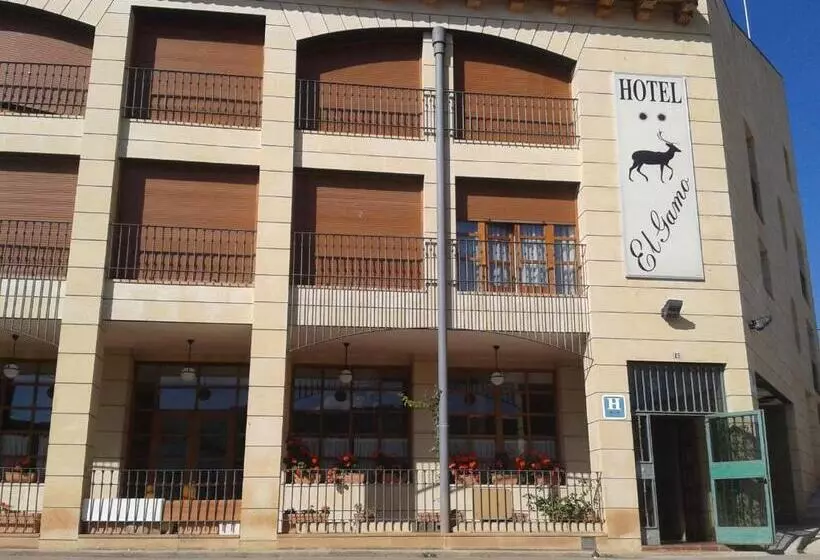 乡村酒店  El Gamo