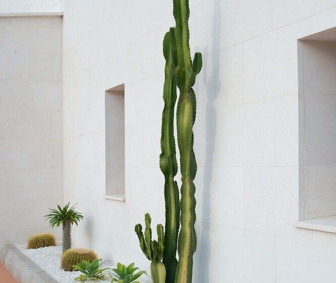 Menorca Binibeca Adults Only By Pierre & Vacances Premium