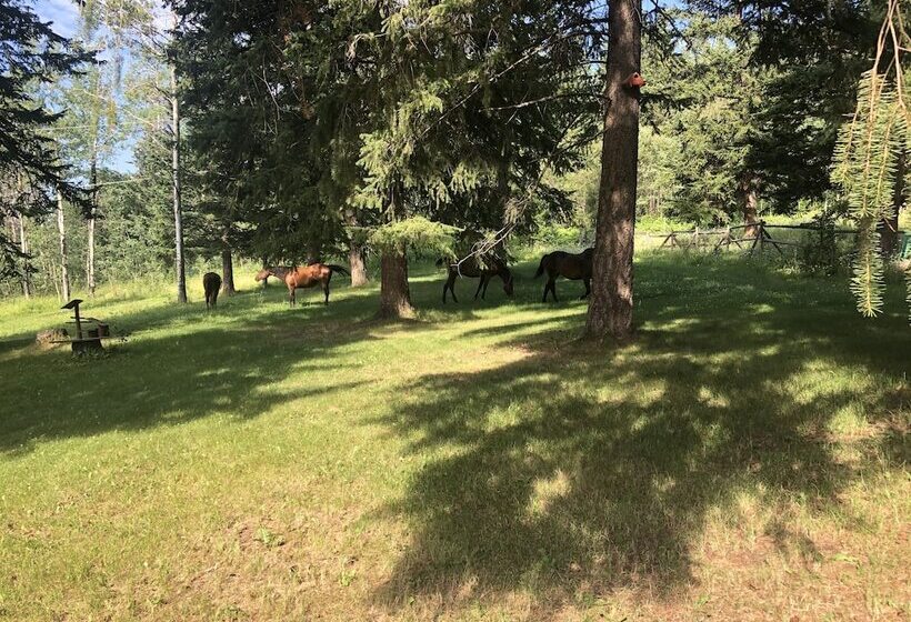 هتل Beaver Guestranch