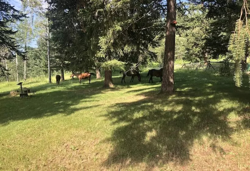 Hotelli Beaver Guestranch