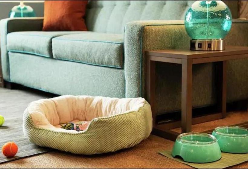 Szálloda Home2 Suites By Hilton, Carlsbad, New Mexico