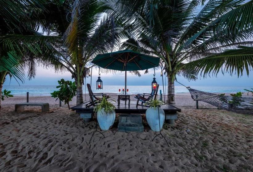 Hotel The Max Wadiya