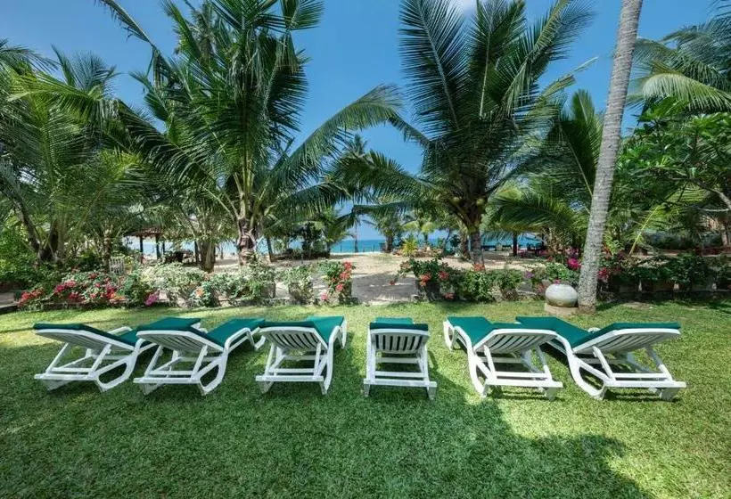 Hotelli The Max Wadiya