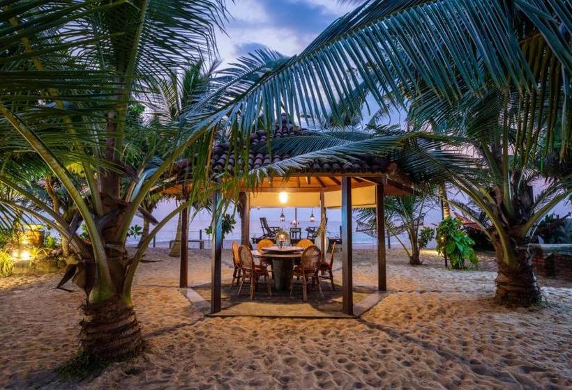 Hotel The Max Wadiya