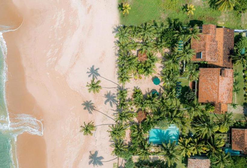 Hotel The Max Wadiya